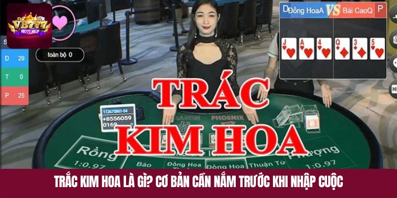Trắc kim hoa là gì? Cơ bản cần nắm trước khi nhập cuộc