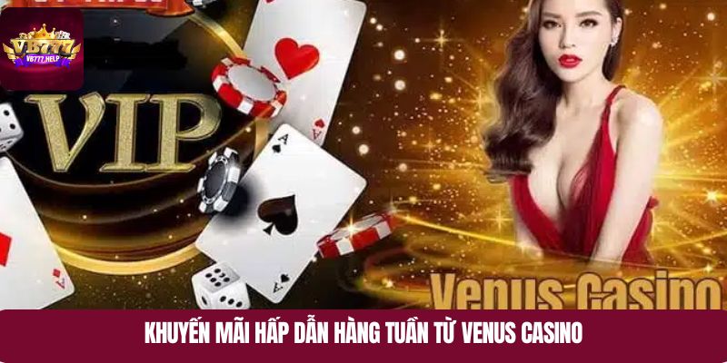 Khuyến mãi hấp dẫn hàng tuần từ Venus Casino